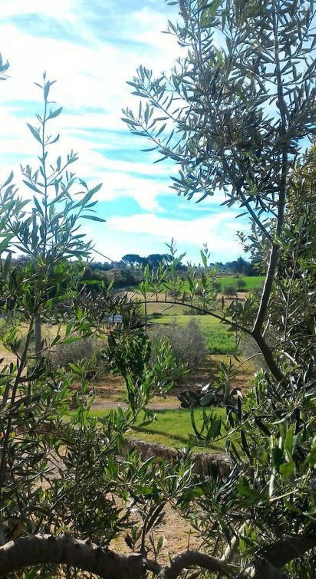 La Mandriana Vila Massa Marittima Exterior foto