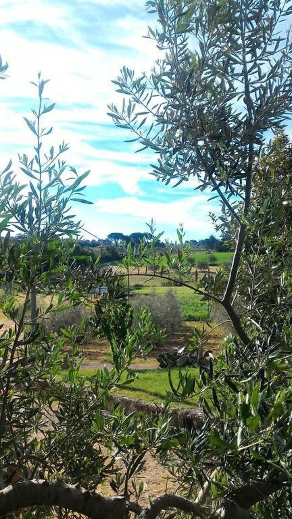 La Mandriana Vila Massa Marittima Exterior foto